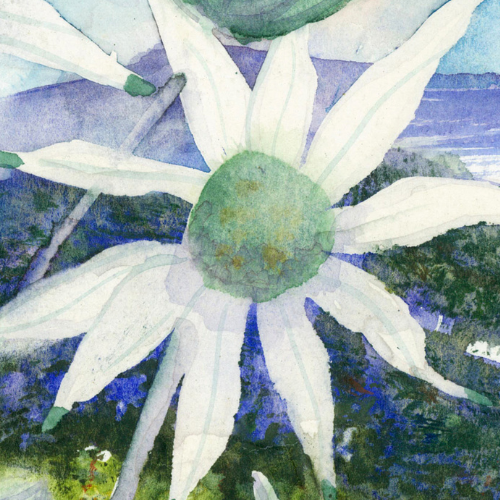 inheritanceartdesign