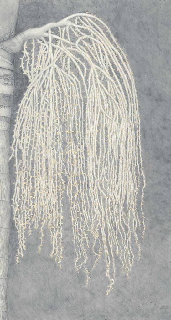 palm with cascading flower buds 