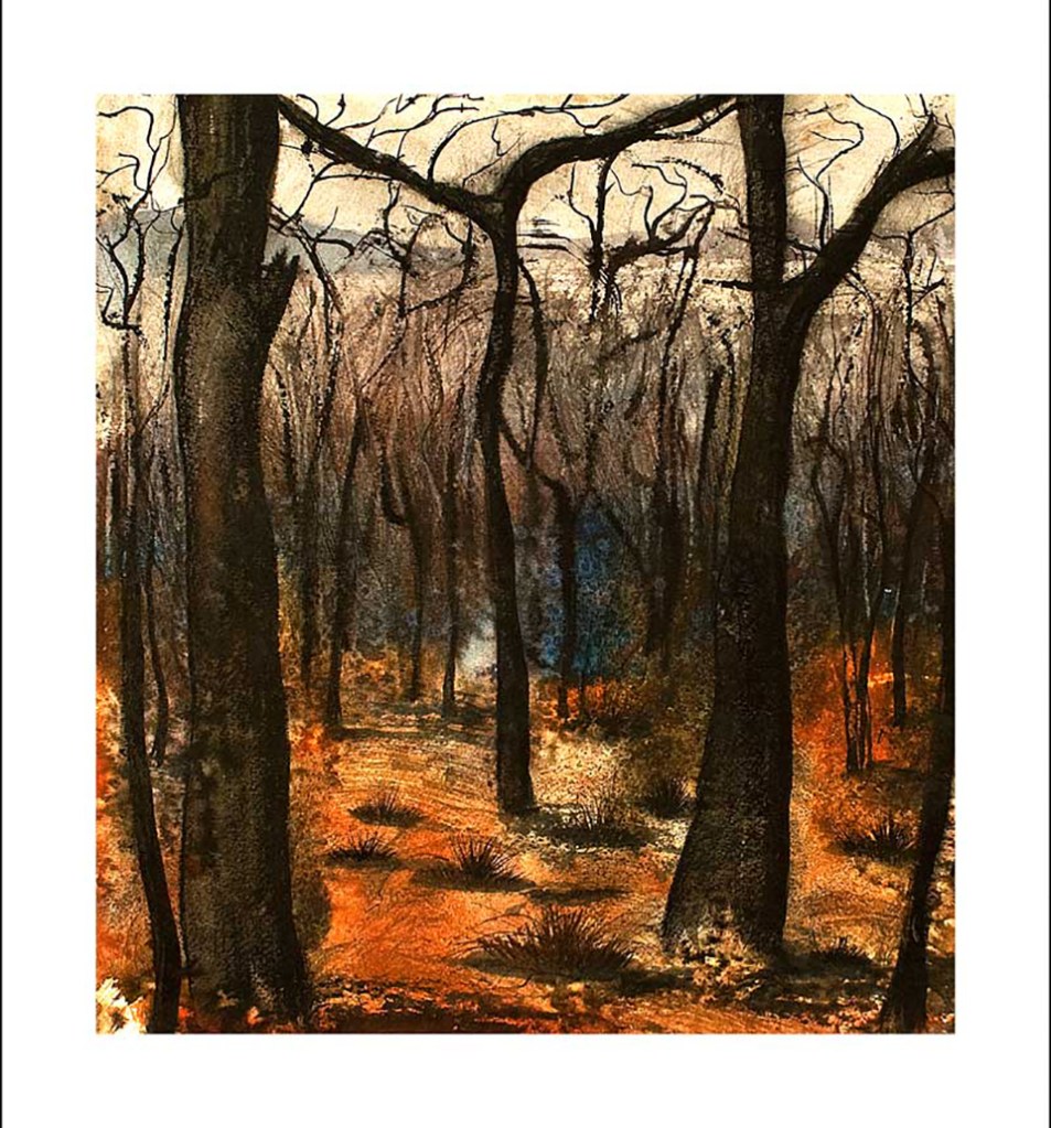  bushfire smoking hot 