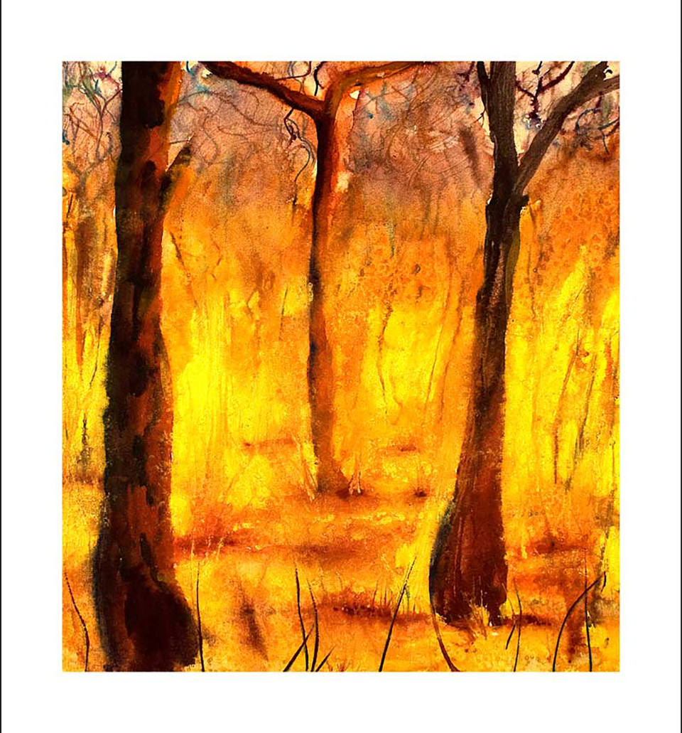 Fires