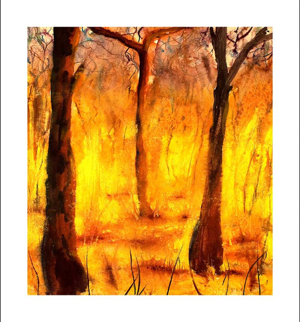 the raging first inferno combustion of a bush fire