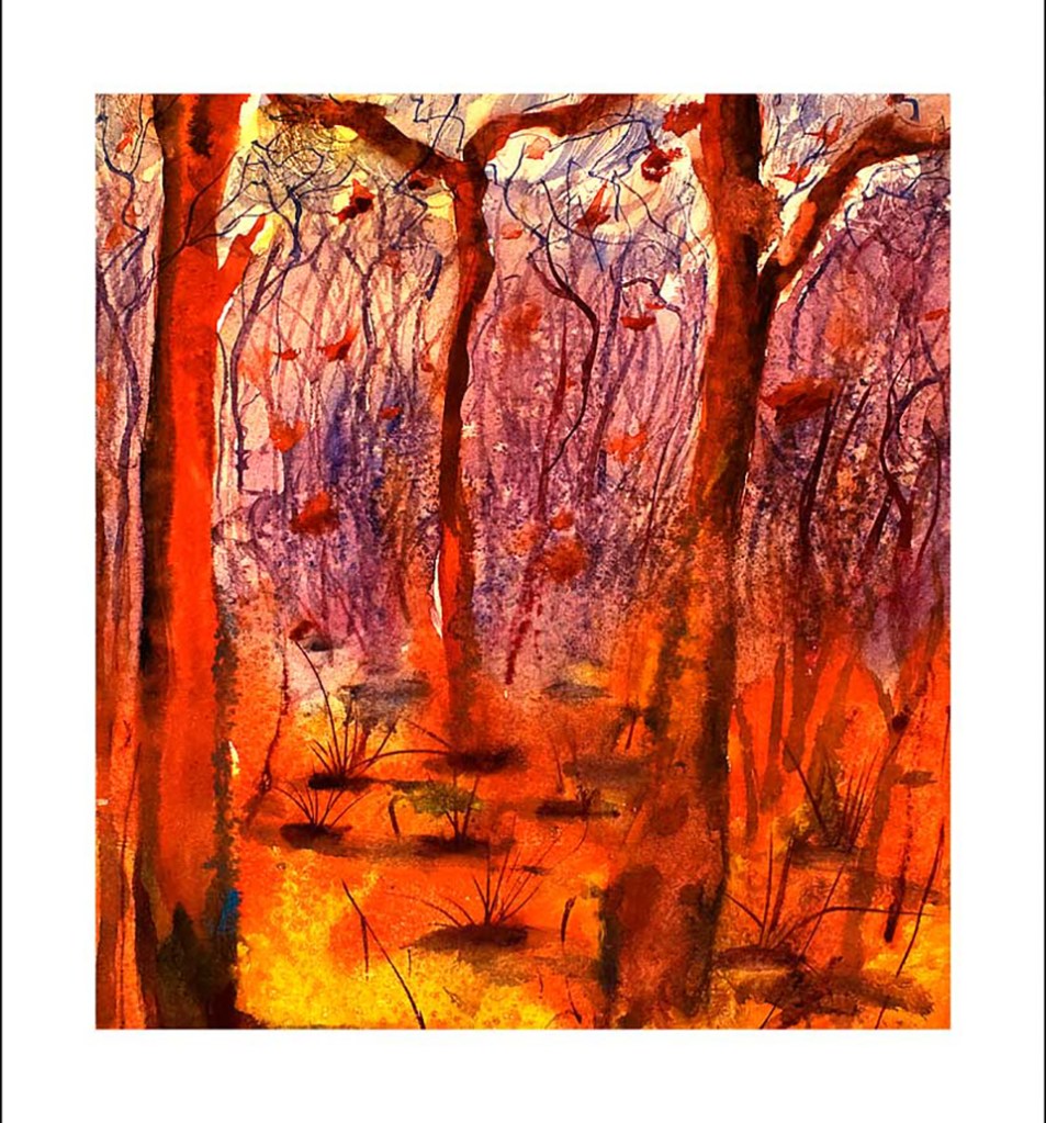  bushfire and burning red glowing embers 