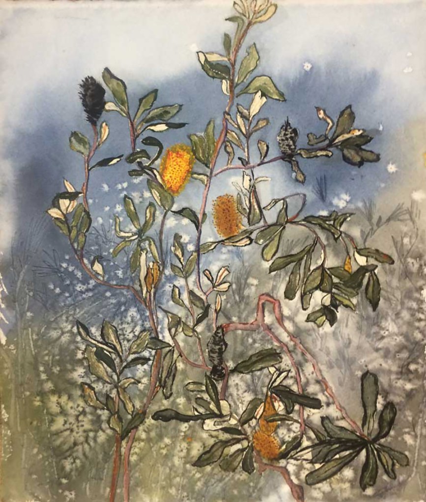 coastal banksia lake Macquarie 