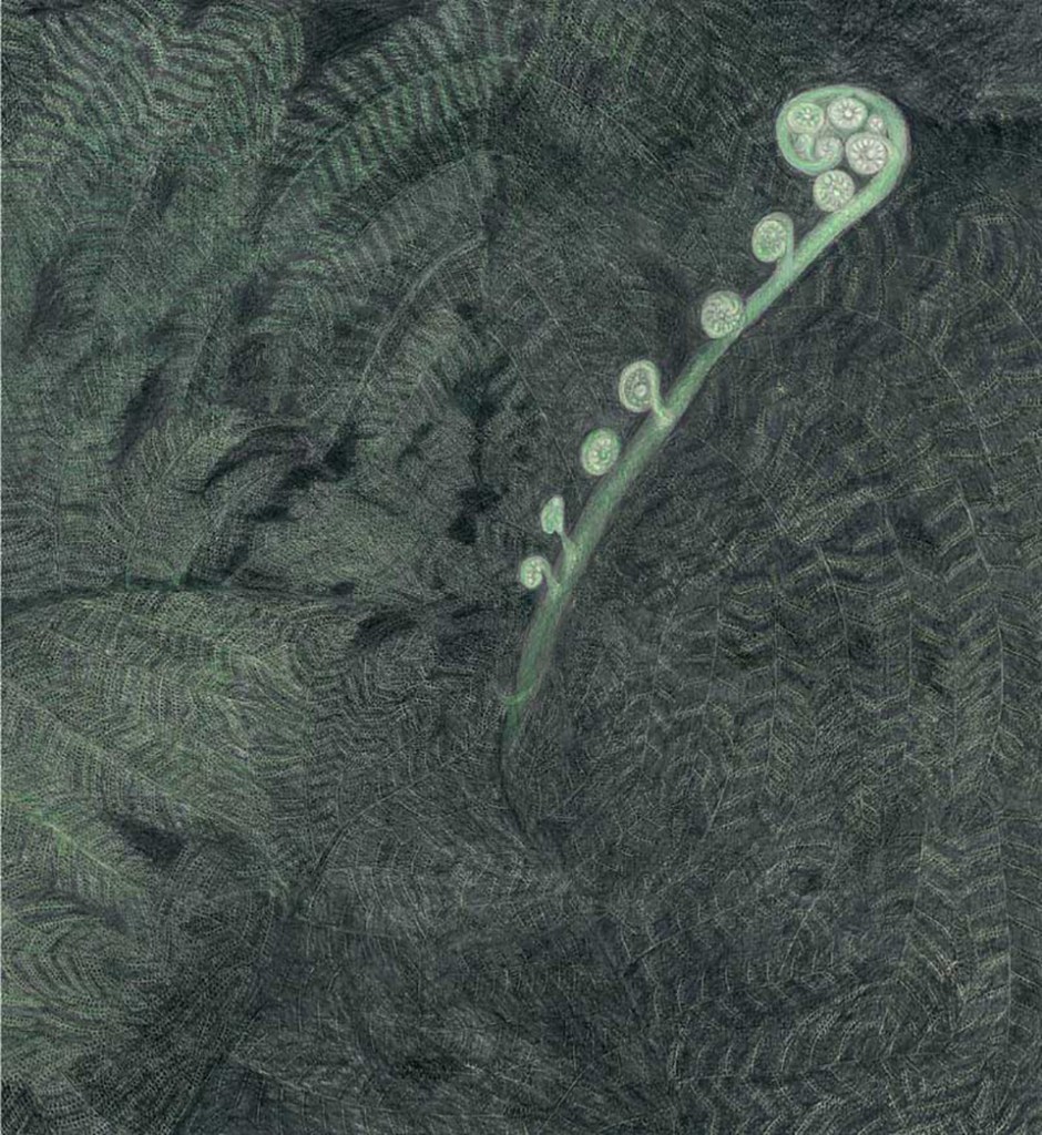  night fern - shoot of a native tree fern Isaiah 43:18-21 